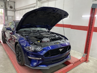 Работы glushnik.com.ua #38