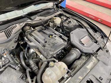 Работы glushnik.com.ua #74